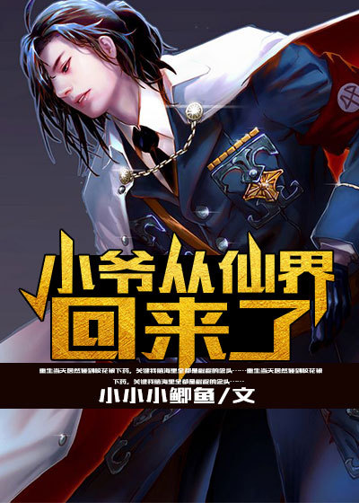 小爷从仙界回来了