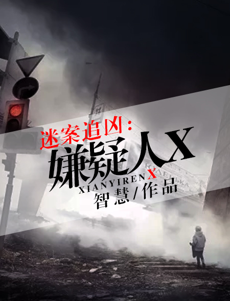 迷案追凶：嫌疑人X