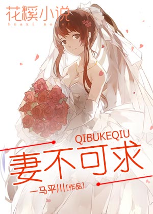 妻不可求