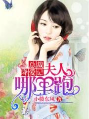 总裁降爱记：夫人哪里跑