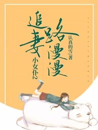 小女仆2：追妻路漫漫