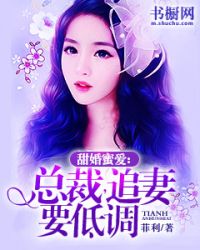 甜婚蜜爱：总裁，追妻要低调