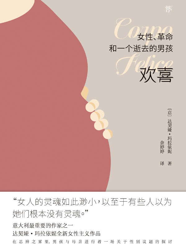 欢喜：女性、革命和一个逝去的男孩