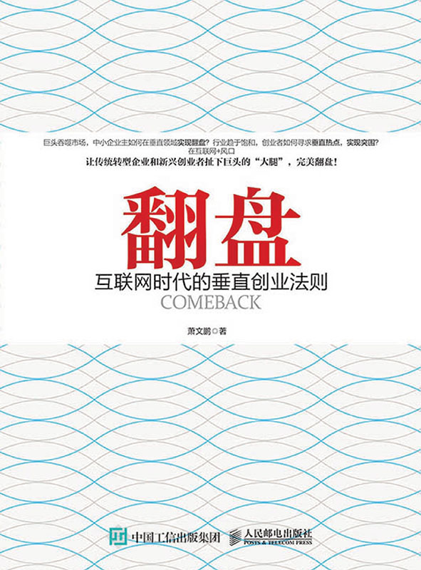 翻盘：互联网时代的垂直创业法则