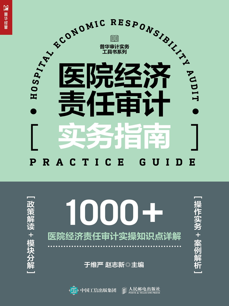 医院经济责任审计实务指南