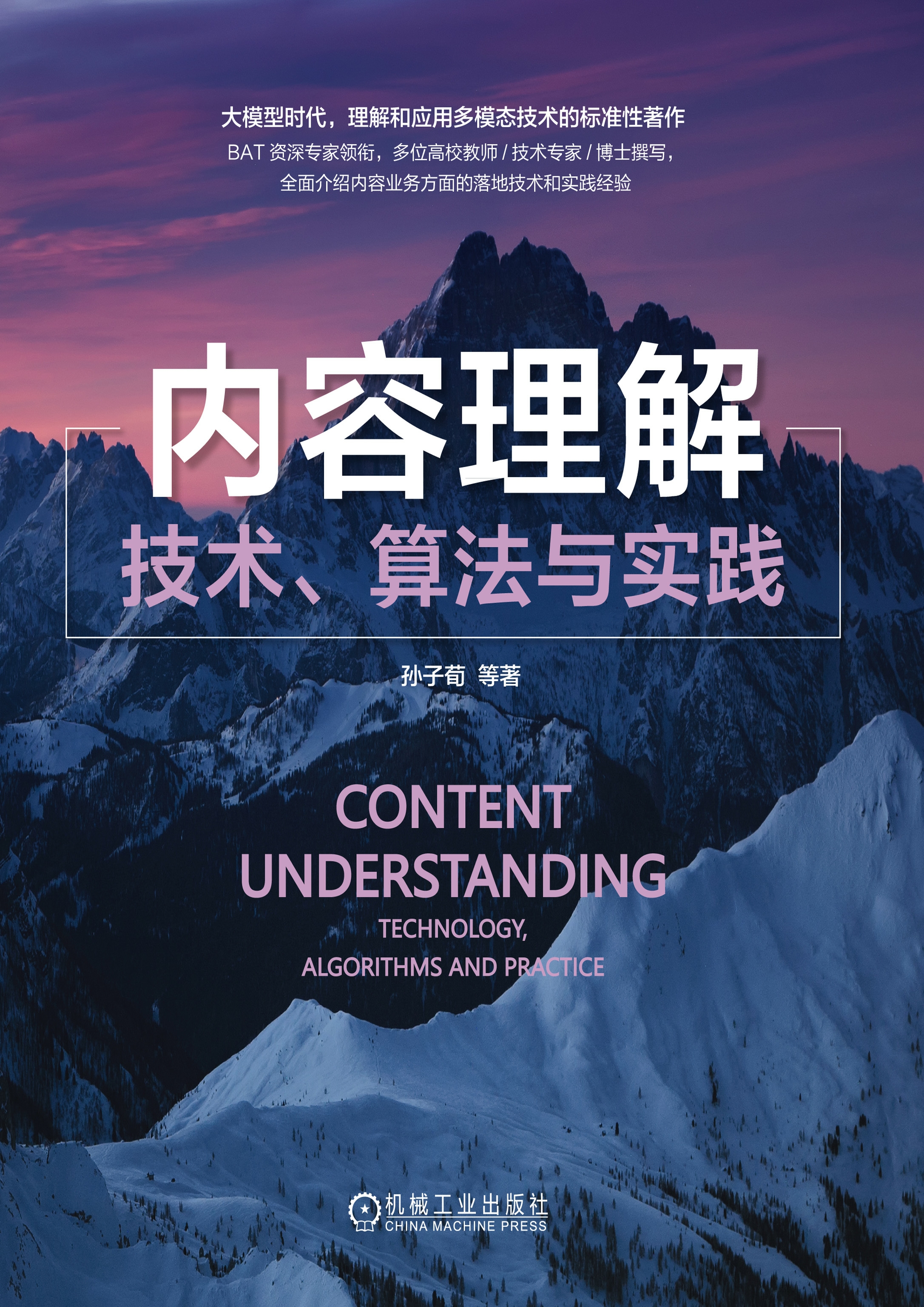 内容理解：技术、算法与实践