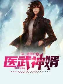 医武神婿