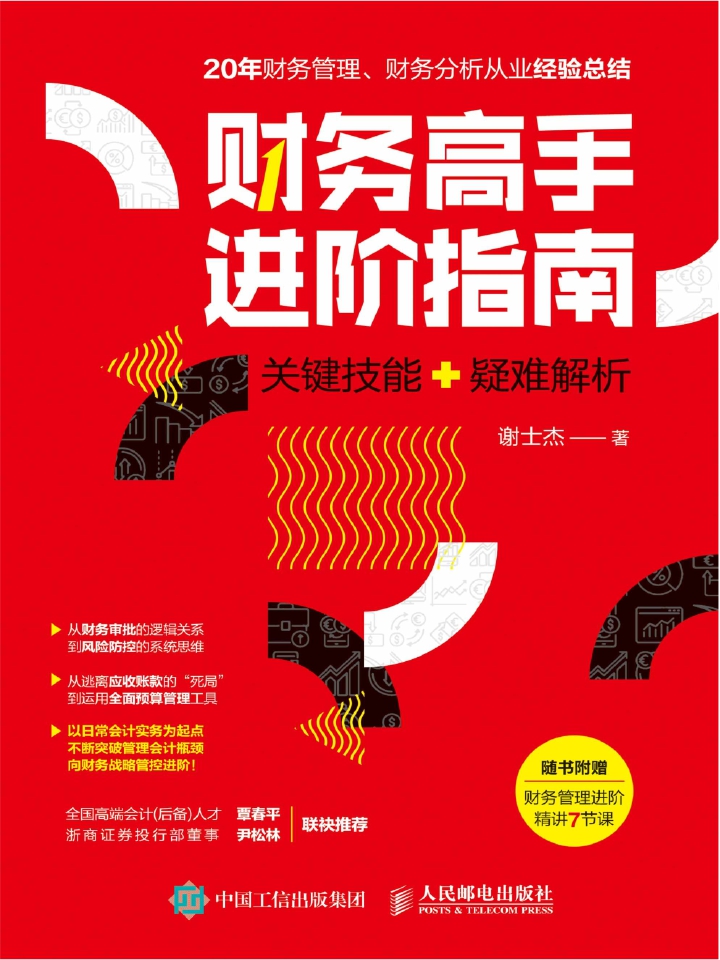 财务高手进阶指南：关键技能+疑难解析