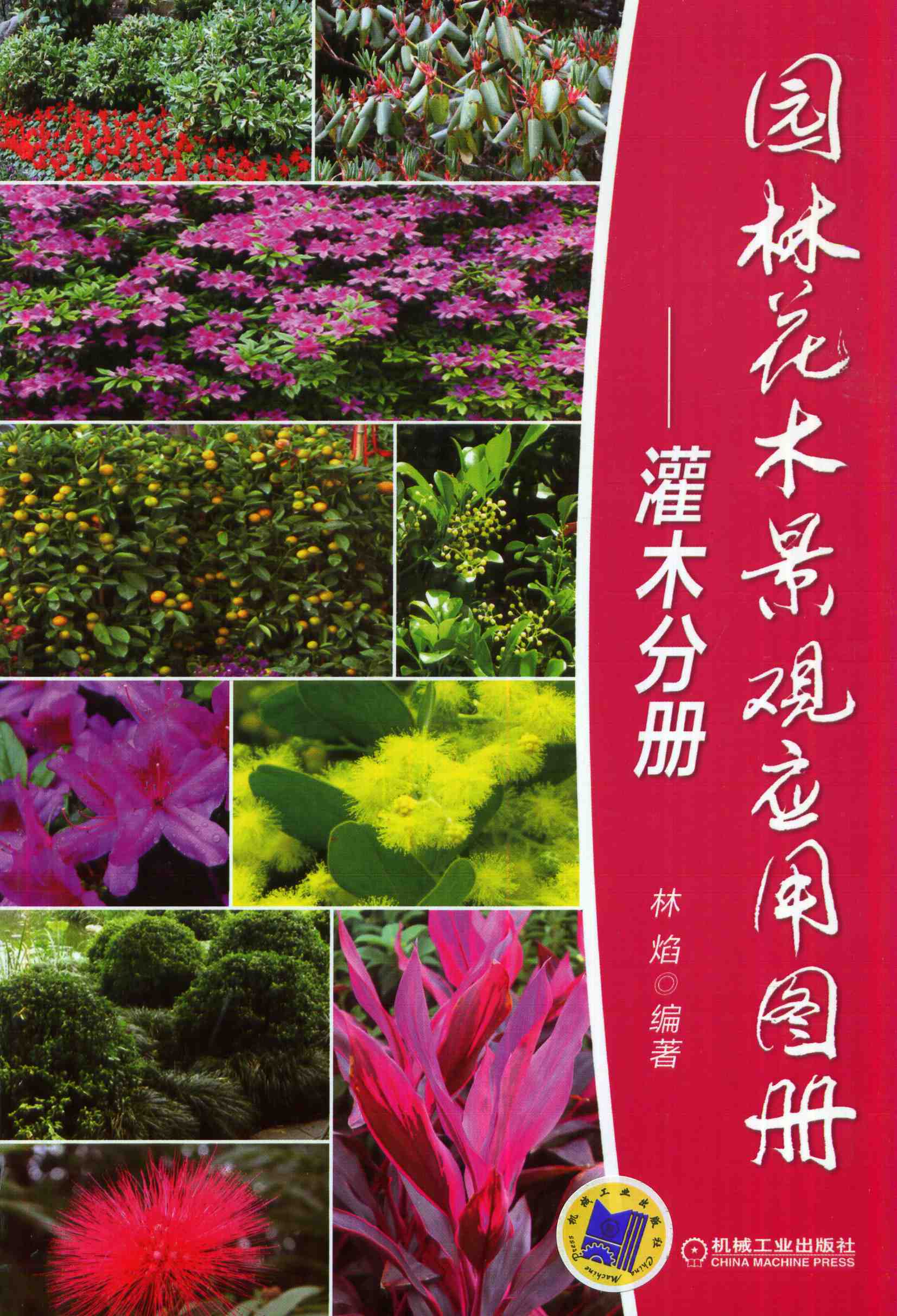 园林花木景观应用图册：灌木分册