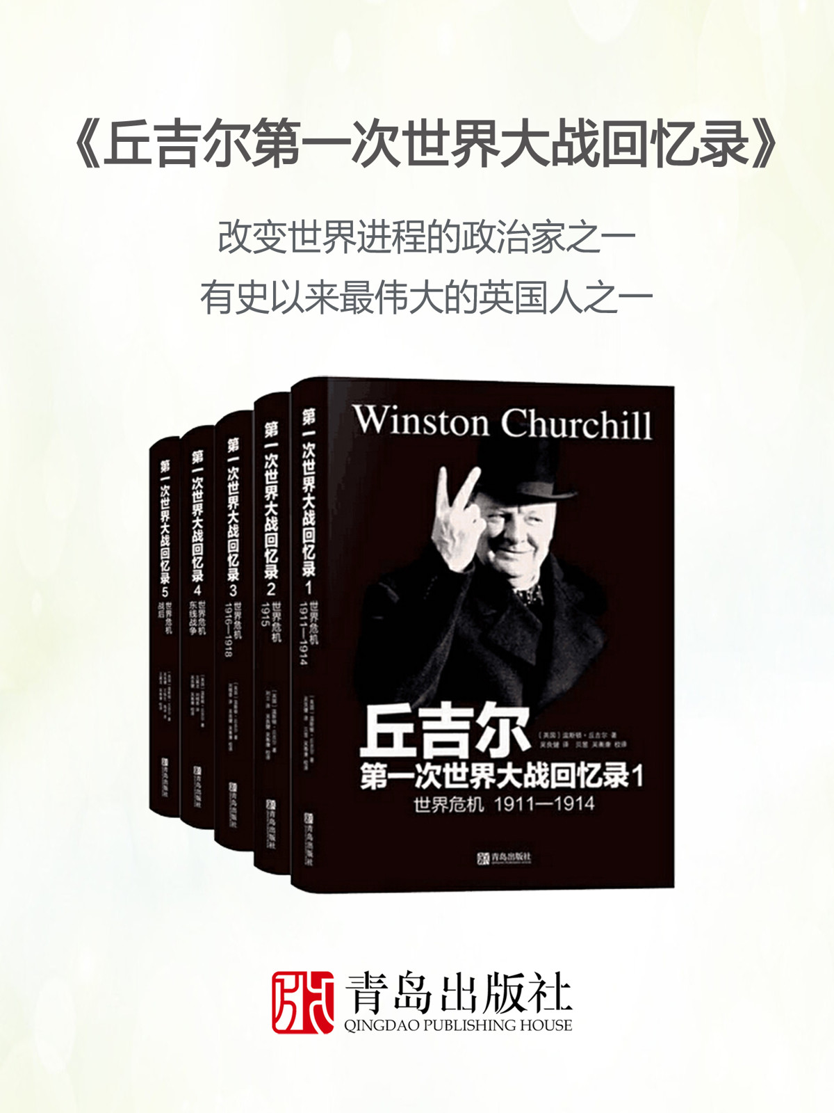 第一次世界大战回忆录5：世界危机·战后