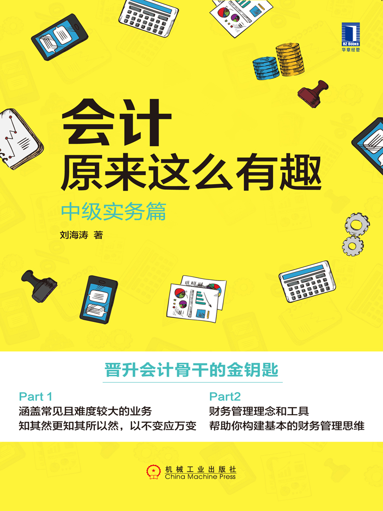 会计原来这么有趣：中级实务篇